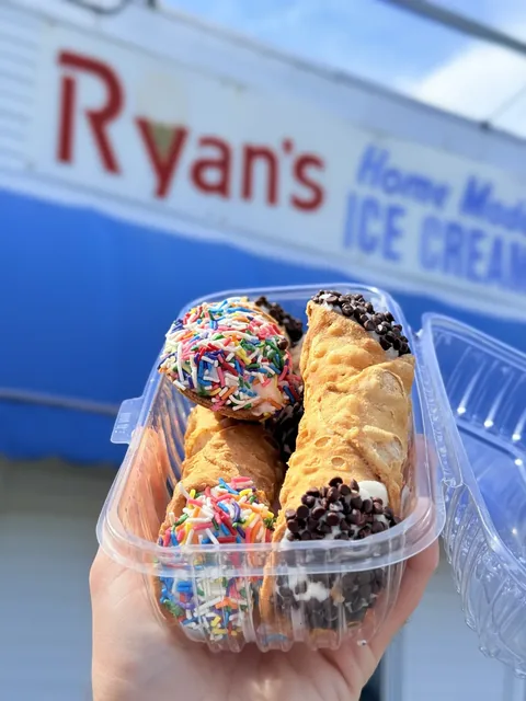 Homemade ice cream cannolis with chocolate chips and rainbow sprinkles