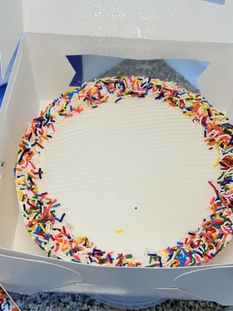 Round homemade ice cream cake with a rainbow sprinkle border
