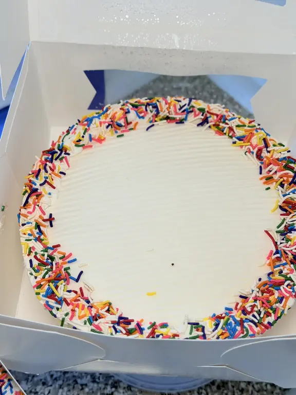 Round homemade ice cream cake with a rainbow sprinkle border