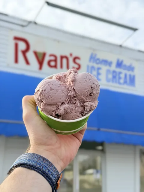 Vegan raspberry chip ice cream in a cup